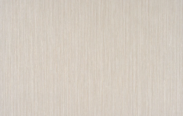 B121 2417-02