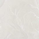 В118 Пудра 2 8806-10