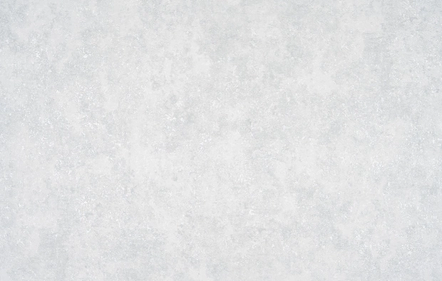 В119 Форест 2 1337-13