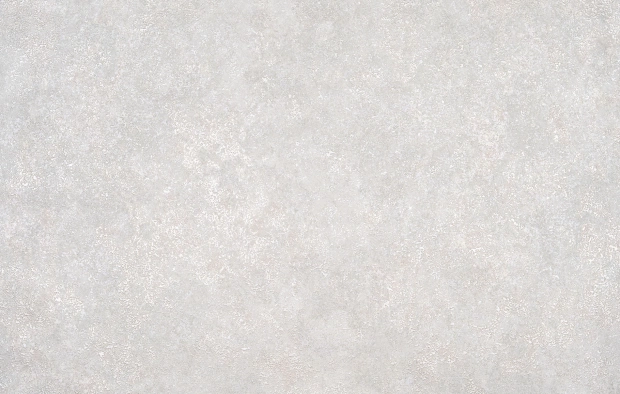 В119 1343-05