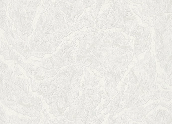 В109 Cameo 3 3787-10