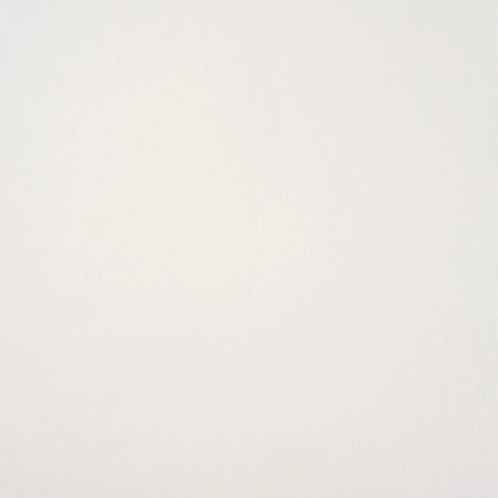 0386894001782979824.jpg
