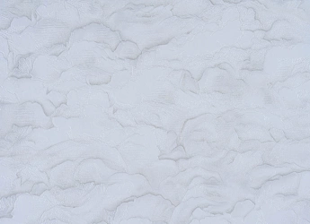 В46,4/В36 Бонсай 2 9118-10