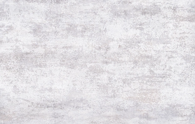 В255 5270-06
