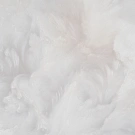 В122 1635-02