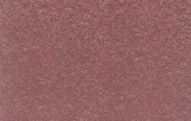 В118Н 8662-08
