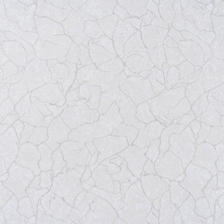 0951049001747656967.jpg
