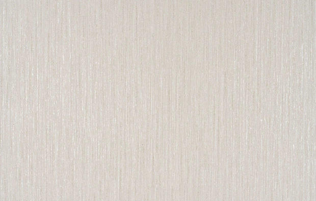 B121 2417-07