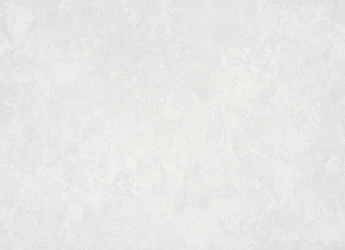B118 8787-09