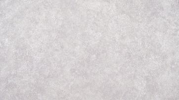 В119 1343-06
