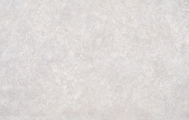 В119 1343-01