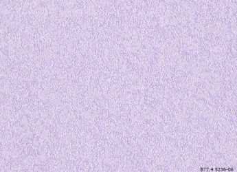 В77,4 Леди 2 5236-06