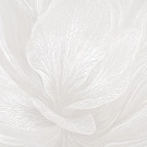 В49,4/B38 5905-06