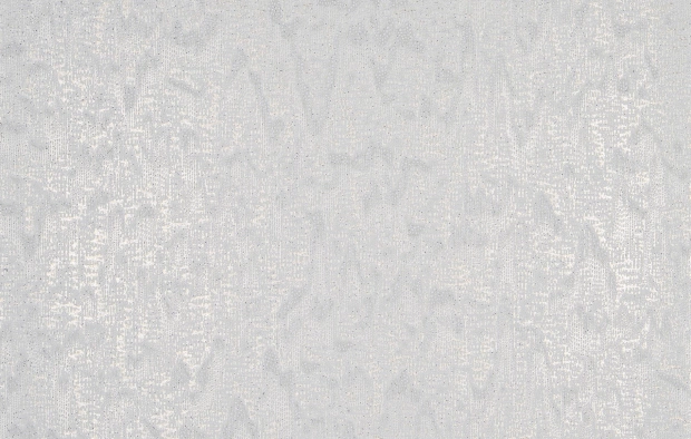 В277 Гингем 6558-04