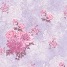 B27.4 Composition 6581-06