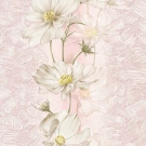 В27,4 Cosmea 8145-02