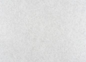 В109 Камелія 2 3828-01