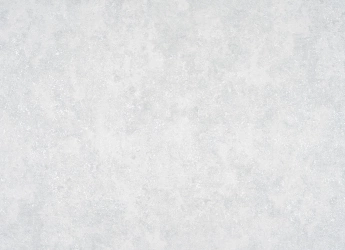 В119 Форест 2 1337-13