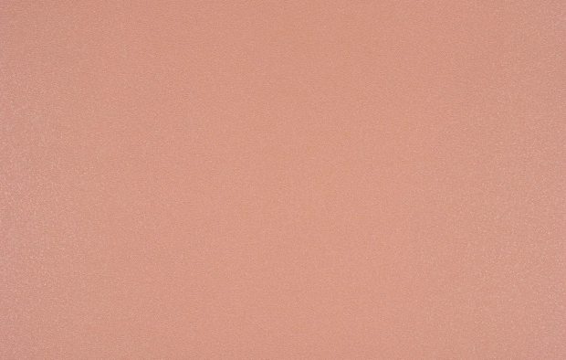 В49,4/B38 5901-06