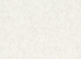 В119 Damascus 2 1309-02