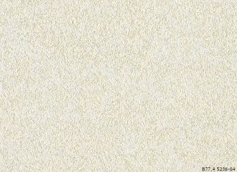 В77,4 5236-04