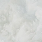 В122 1635-04