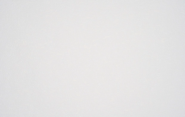 В98 2581-01