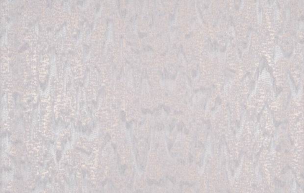 В277 Гингем 6558-02
