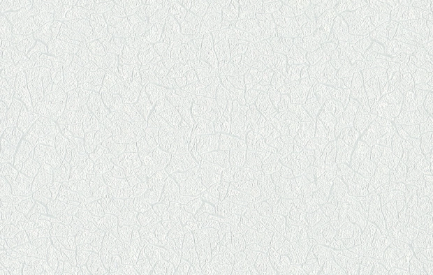В197 Сангина 2 2114-04