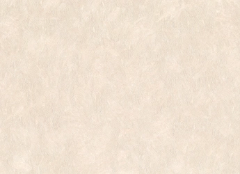В118 8668-06