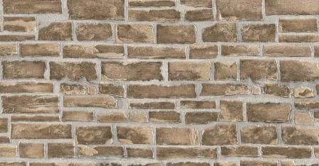 В49,4 Погребок 2 5676-06