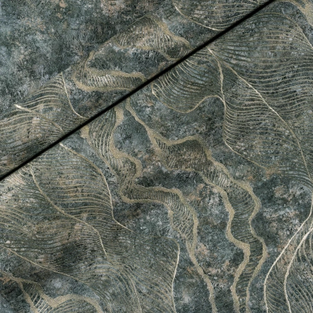 0620565001706702455.jpg