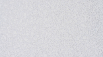 В98 Фуджі 2585-01