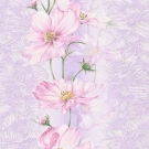 В27,4 Cosmea 8145-01