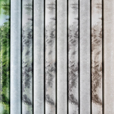 0170078001743573466.jpg