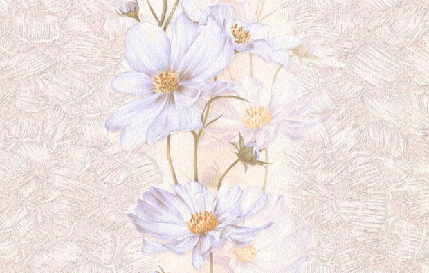 В27,4 Cosmea 8145-01