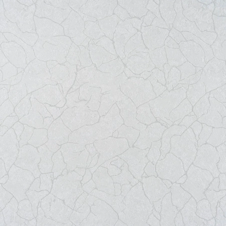 0950927001747656967.jpg