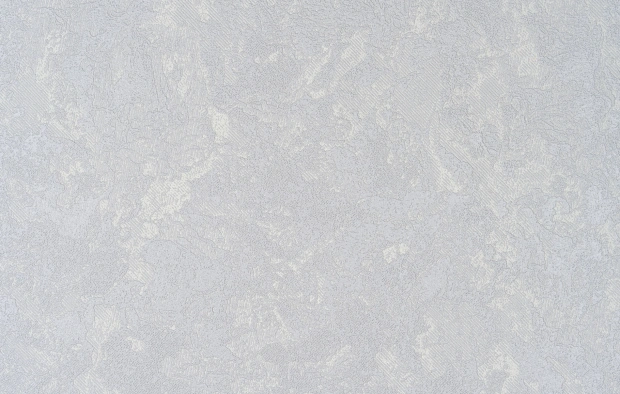 В110 1134-10
