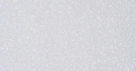 В98 2585-01
