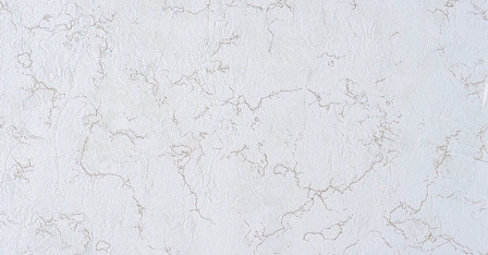 B40,4/B39 Шингу 2 5850-04