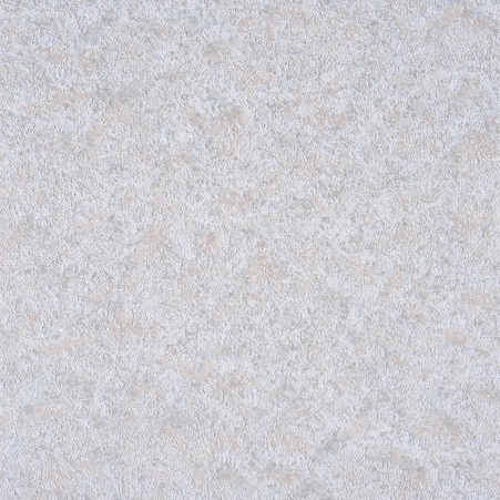 0737387001742567435.jpg