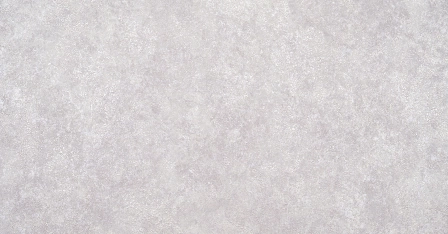 В119 1343-06