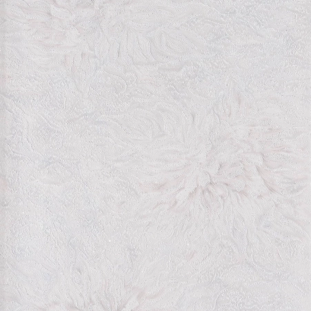 0805741001739546000.jpg