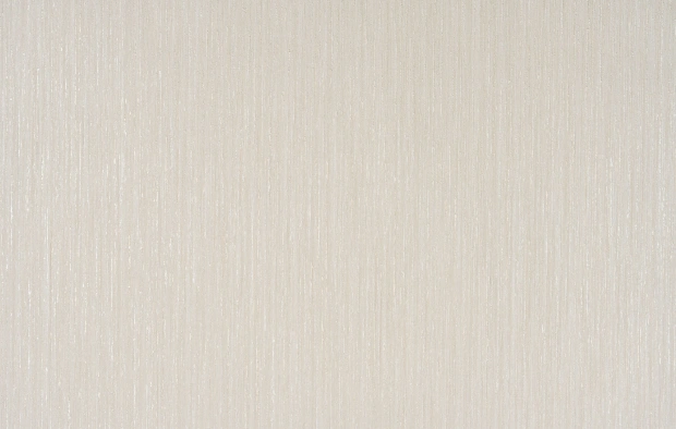 B121 2417-06